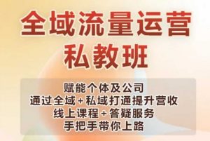 全域流量运营操盘课,赋能个体及公司通过全域+私域打通提升营收-创新Ovo