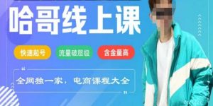电商线上课程2025年，快速起号，流量破层级，这套方法起号率99%-创新Ovo