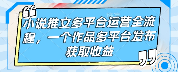 小说推文多平台运营全流程，一个作品多平台发布获取收益-创新Ovo