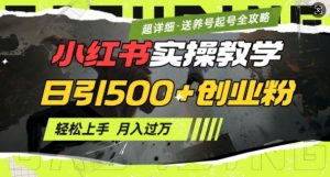 2月小红书最新日引500+创业粉实操教学【超详细】小白轻松上手,月入1W+,附小红书养号起号SOP-创新Ovo