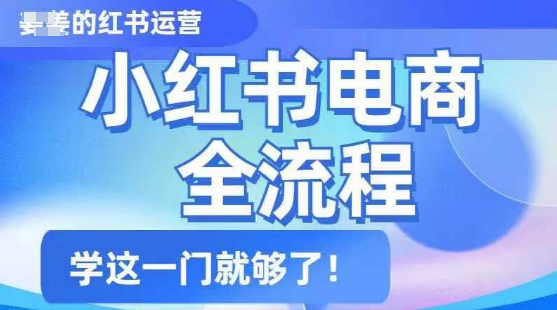 小红书电商全流程，精简易懂，从入门到精通，学这一门就够了-创新Ovo