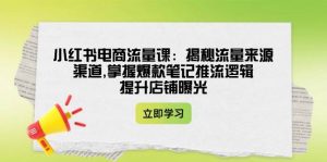 小红书电商流量课:揭秘流量来源渠道,掌握爆款笔记推流逻辑,提升店铺曝光-创新Ovo