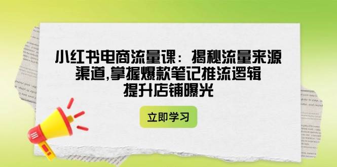 小红书电商流量课：揭秘流量来源渠道,掌握爆款笔记推流逻辑,提升店铺曝光-创新Ovo