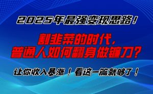 2025年最强变现思路，割韭菜的时代， 普通人如何翻身做镰刀？【揭秘】-创新Ovo