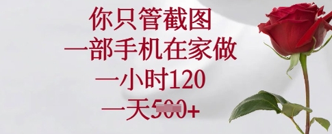 你只管截图，一部手机在家做，一小时120.一天5张【揭秘】-创新Ovo