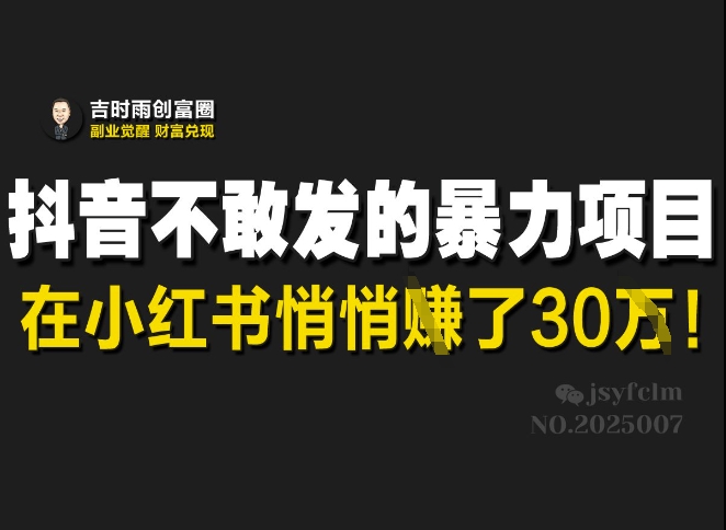 抖音不敢发的暴利项目，在小红书悄悄挣了30W-创新Ovo