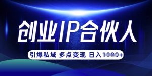云帆·创业ip合伙人打造3.0,从0到1教你做网创,实现月入过W-创新Ovo