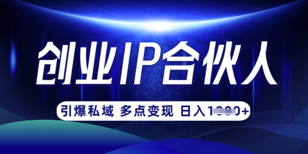 云帆·创业ip合伙人打造3.0，从0到1教你做网创，实现月入过W-创新Ovo