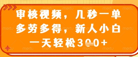 审核视频，几秒一单，多劳多得，新人小白一天轻松3张【揭秘】-创新Ovo