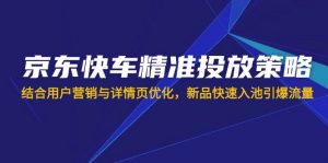 京东快车精准投放策略,结合用户营销与详情页优化,新品快速入池引爆流量-创新Ovo