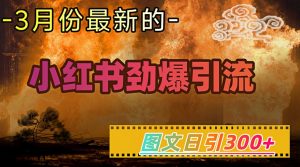 小红书超劲爆引流手段,图文日引300+轻松变现1W-创新Ovo