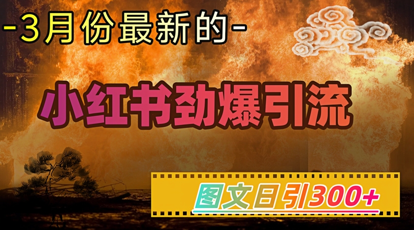 小红书超劲爆引流手段，图文日引300+轻松变现1W-创新Ovo