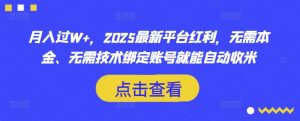 月入过W+，2025最新平台红利，无需本金、无需技术绑定账号就能自动收米-创新Ovo