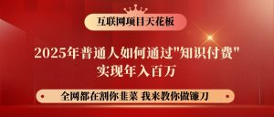 网创项目终点站-镰刀训练营超级IP合伙人,25年普通人如何通过“知识付费”年入百万-创新Ovo