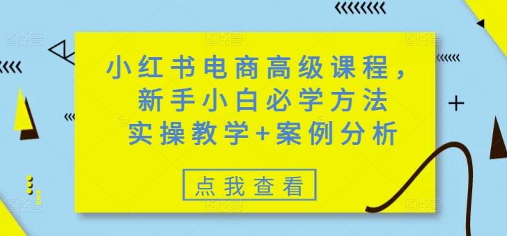 小红书电商高级课程，新手小白必学方法，实操教学+案例分析-创新Ovo