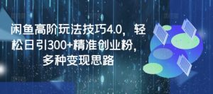 闲鱼高阶玩法技巧4.0，轻松日引300+精准创业粉，多种变现思路-创新Ovo