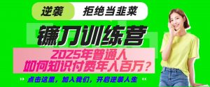镰刀训练营超级IP合伙人,25年普通人如何通过“知识付费”实现逆袭-创新Ovo