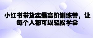 小红书带货实操高阶训练营,让每个人都可以轻松学会-创新Ovo
