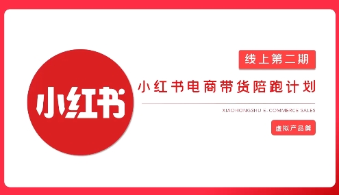 2025小红书虚拟电商实战课，从0到1打造无货源店铺，AI+爆款笔记轻松变现-创新Ovo