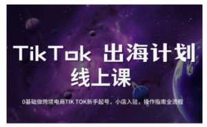 TikTok跨境电商新手起号与运营全攻略,0基础做跨境电商TIKTOK新手起号,小店入驻,操作指南全流程-创新Ovo