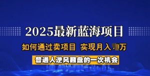 2025蓝海项目,普通人如何通过卖项目,实现月入过W,全过程【揭秘】-创新Ovo