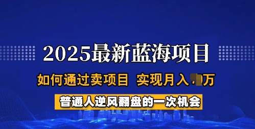 2025蓝海项目，普通人如何通过卖项目，实现月入过W，全过程【揭秘】-创新Ovo