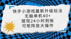 快手小游戏最新版升级玩法，新风口，无脑单机日入40+，可批量放大，小...-创新Ovo