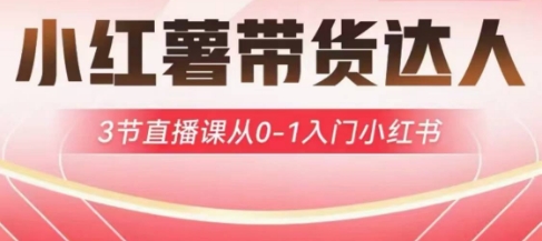 小红薯达人带货启航计划，3节直播课从0-1入门小红书-创新Ovo