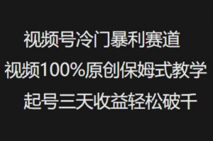 视频号冷门暴利赛道视频100%原创保姆式教学起号三天收益轻松破千-创新Ovo