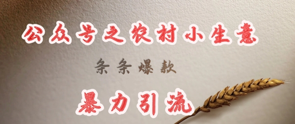 deepseek写农村小项目，条条爆款，暴力引流-创新Ovo