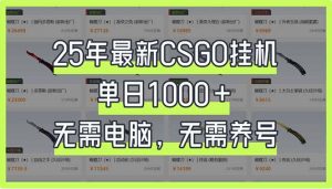 25年最新CSGO挂机系统，单日1000+，无需电脑，无需养号，0基础可上手-创新Ovo