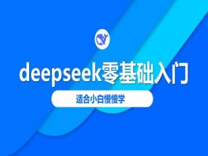 deepseek零基础入门-deepseek教程2025,适合小白慢慢学-创新Ovo