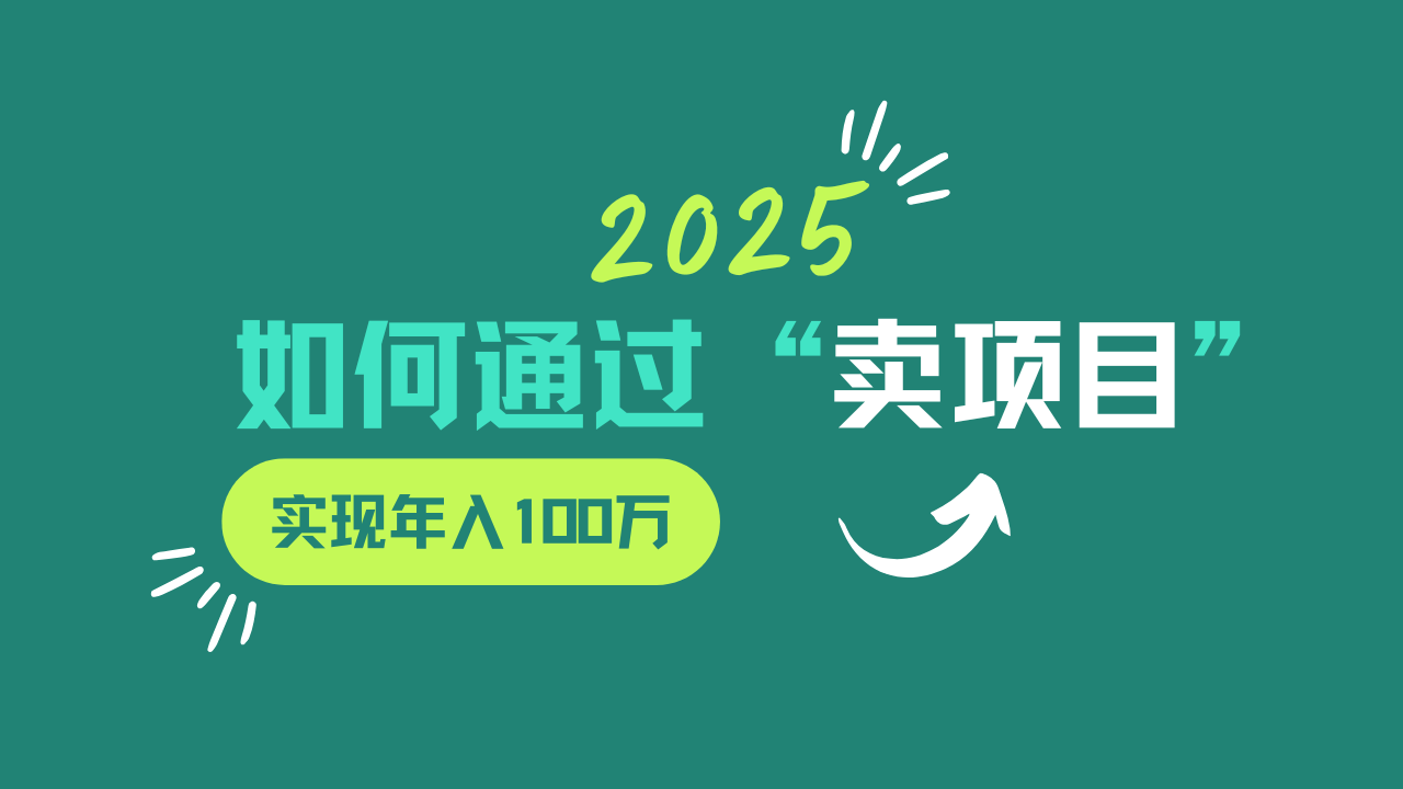 2025年如何通过“卖项目”实现年入100w-创新Ovo