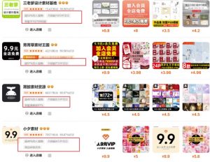 0成本虚拟项目实战手把手教你落地，单店月入5k-创新Ovo