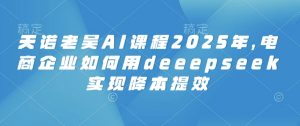 天诺老吴AI课程2025年，电商企业如何用deeepseek实现降本提效-创新Ovo