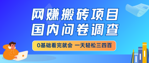 网赚搬砖项目，国内问卷调查，0基础看完就会 一天轻松三四百，靠谱副业...-创新Ovo