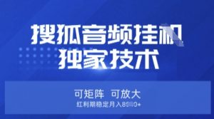 【搜狐音频挂G】独家技术,可矩阵可放大,红利期稳定月入8k【揭秘】-创新Ovo