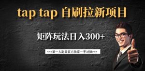 taptap拉新自刷项目，一个新用户14元，矩阵玩法日入300+-创新Ovo