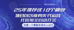25年推荐这10个副业项目包含褂鸡类、代运营托管类、全自动打金类【揭秘】-创新Ovo