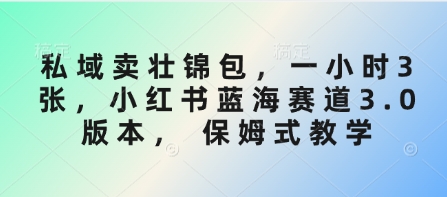 私域卖壮锦包，一小时3张，小红书蓝海赛道3.0版本， 保姆式教学-创新Ovo