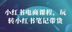 小红书电商课程，玩转小红书笔记带货-创新Ovo
