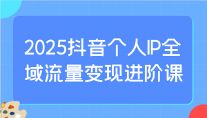 2025抖音个人IP全域流量变现进阶课：选爆品、抖音付费投流、千川投流实操及优化等-创新Ovo