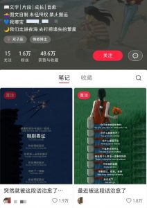 小红书治愈文案图文笔记，零门槛，一分钟制作轻松制作爆款作品月入万元-创新Ovo