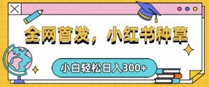小红书种草，手机项目，日入3张，复制黏贴即可，可矩阵操作，动手不动脑【揭秘】-创新Ovo