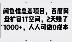 闲鱼信息差项目，百度网盘扩容1T空间，2天收益1k+，人人可做0成本-创新Ovo