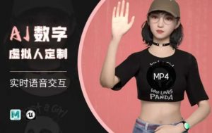 Ai数字人虚拟(智能体)实时语音交互特训营,自行定制超写实角色AI数字人交互技术-创新Ovo