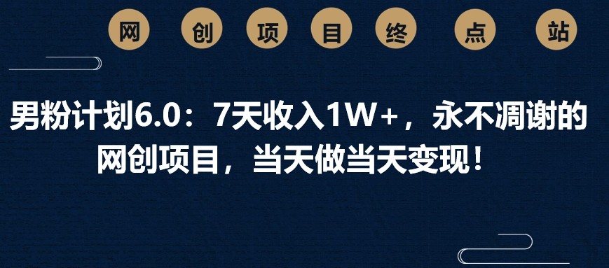 男粉计划6.0：7天收入1W+，永不凋谢的网创项目，当天做当天变现！-创新Ovo