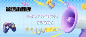 微信小程序-25年最新教学日入1000+最新玩法--单部手机即可操作,做就...-创新Ovo