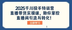 2025千川投手特训营：直播带货实操课，助你掌控直播间引流与转化！-创新Ovo