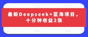 最新Deepseek+蓝海项目，十分钟收益2张-创新Ovo